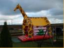 Hpfburg Giraffe